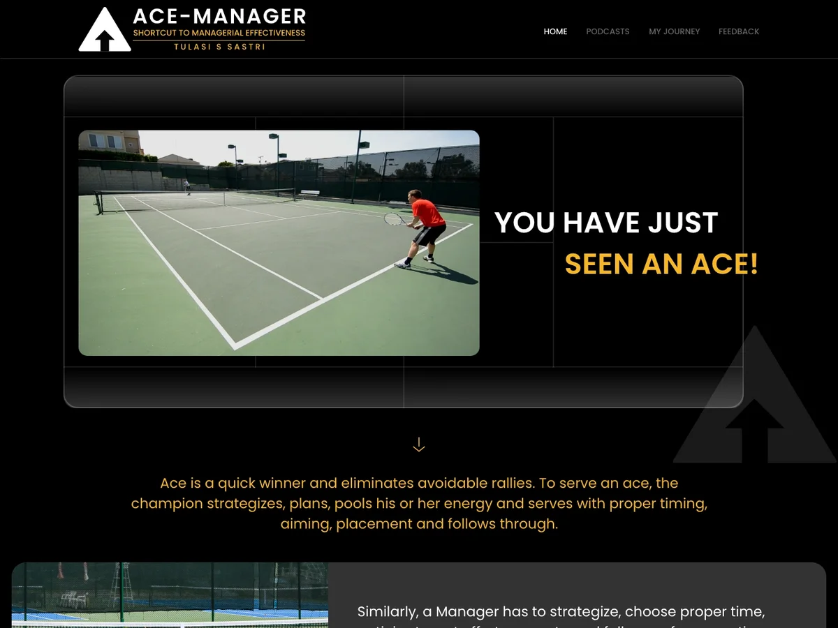 Ace Manager website preview