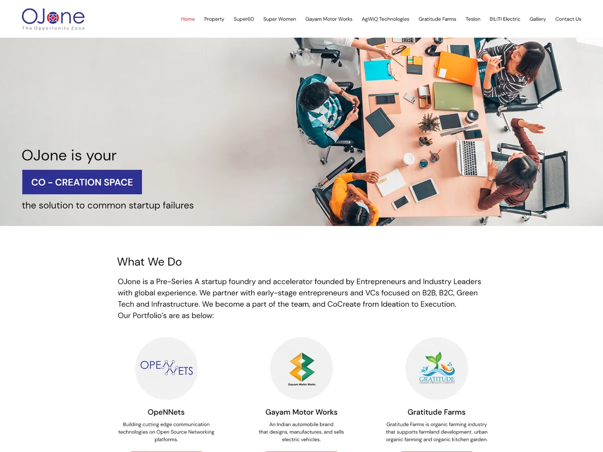 Ojone website preview