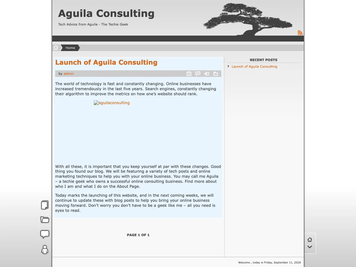 Augila Consulting website preview