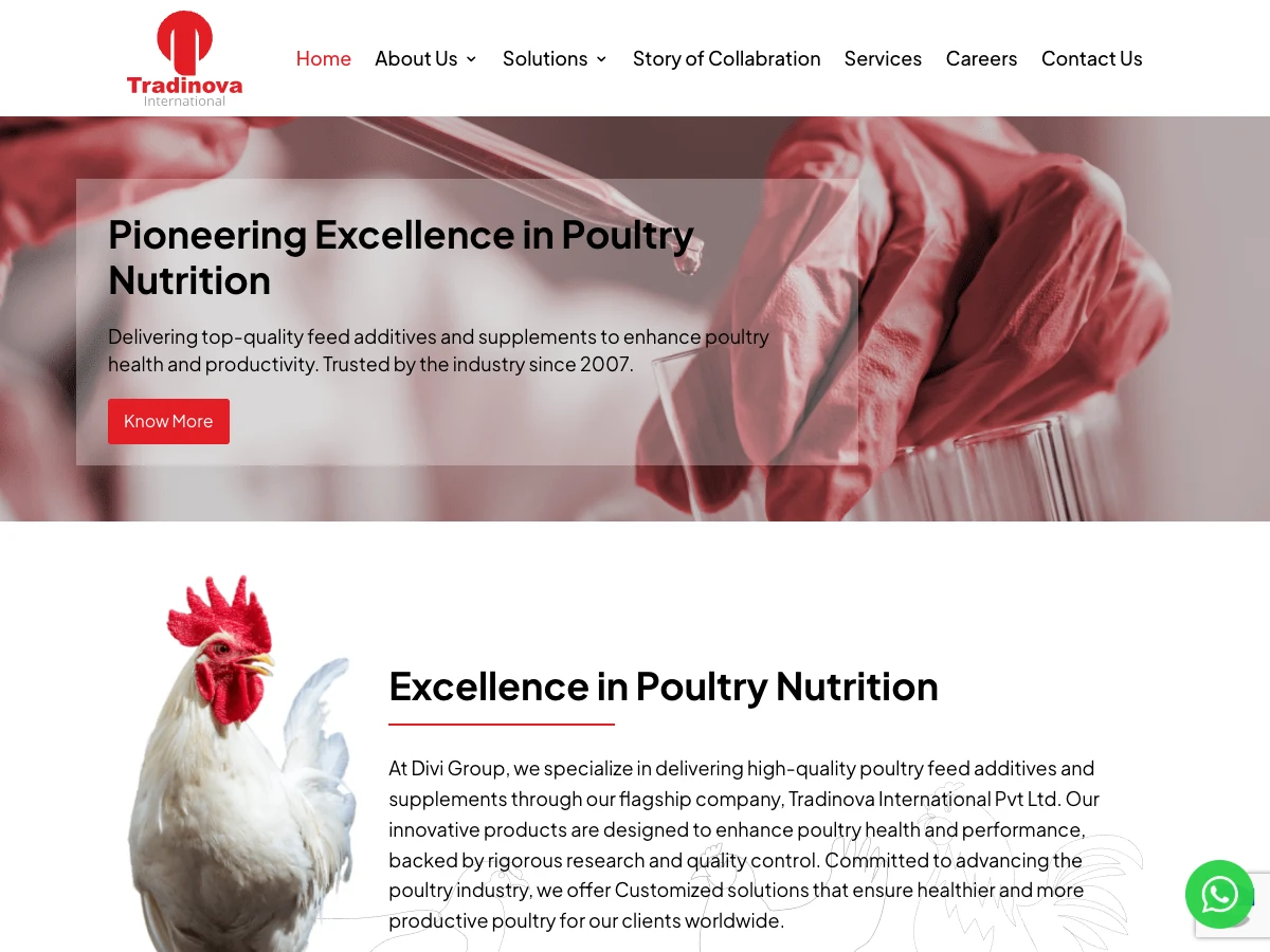 Tradinova website preview