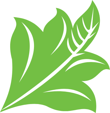 parivartan-the-leaf